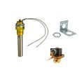 Model 9045 NEMA 4-4X Valve and Thermostat Kit, 200-240V