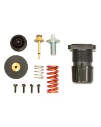 Model 900594 Rebuild Kit for Model 9009 Regulator 