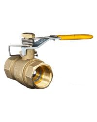 Model 900664 1 NPT Ball Valve with return spring