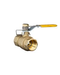 Model 900664 1 NPT Ball Valve with return spring