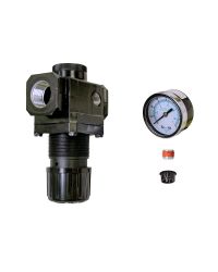 Model 9009 3/4 NPT Pressure Regulator